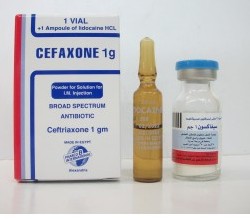 سيفترياكسون Ceftriaxone