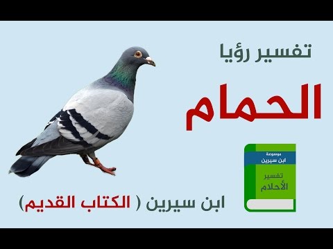 الحمام في المنام