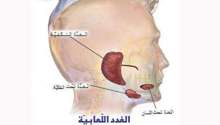 علاج الغدد اللعابية بالاعشاب