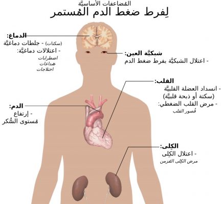 كيف يضر التدخين بالجسم ؟