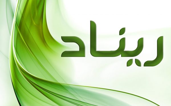 صفات حاملة اسم ريناد