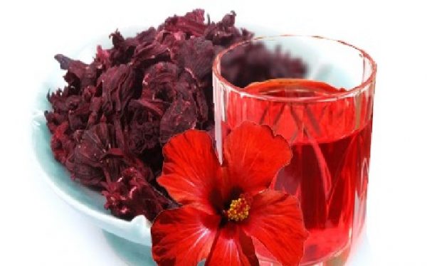 فوائد الكركديه Hibiscus