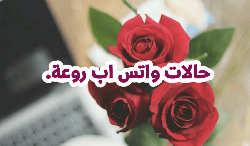 حالات واتس روعه ومعبره