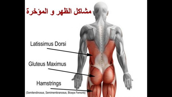 أسباب حدوث آلام المؤخرة عند الجلوس