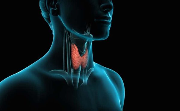 اعراض الغدة الدرقية الخاملة