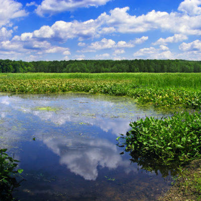 البحيرات والبرك lakes and ponds