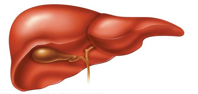 علاج دهون الكبد بالماء