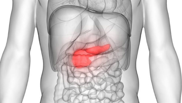 تعرف على اقوى منشط للبنكرياس