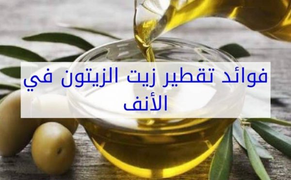 فوائد زيت الزيتون للجسم كاملا