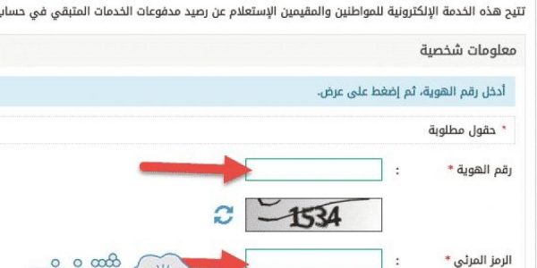 الطريقة الأخرى للاستعلام عن رصيد المدفوعات الحكومية 