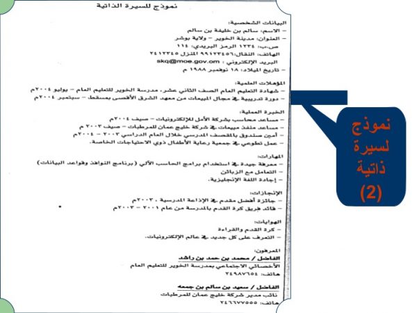 نموذج للملخص المهني في السيرة الذاتية