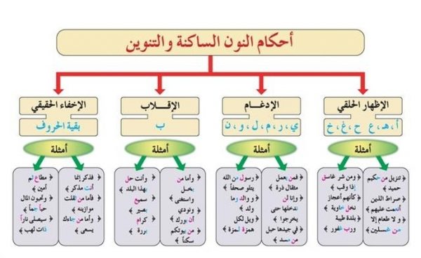 احكام النون الساكنة والتنوين مع الامثلة من القران الكريم