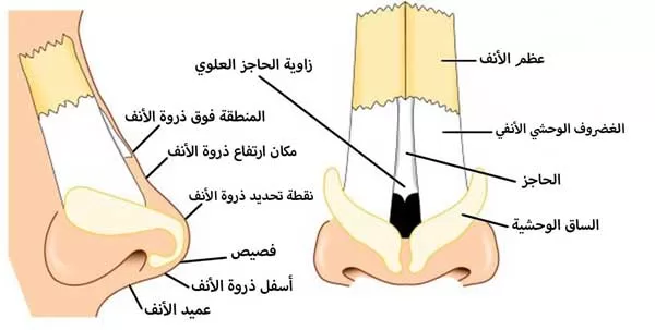 تجربتي مع مشبك الانف