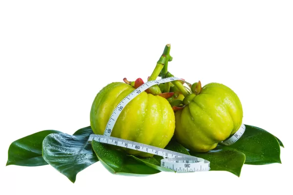 حبوب garcinia cambogia تجربتي