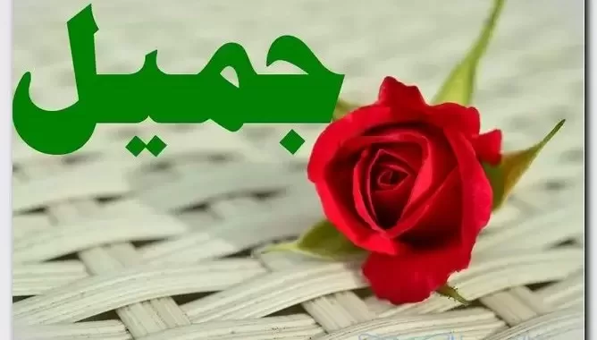 اسم جميل في المنام